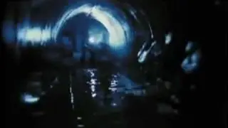Video preview · Alligator