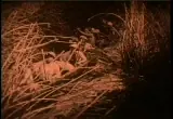 Video preview · The Lost World
