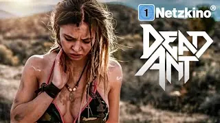 Aperçu vidéo · Dead Ant
