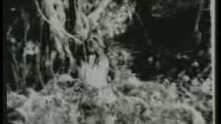 Video-Vorschaubild · Tarzan the Fearless