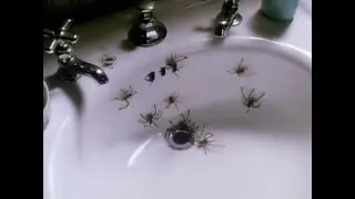 Video-Vorschaubild · Arachnophobia