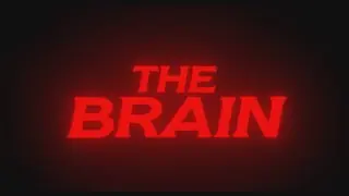 Video-Vorschaubild · The Brain