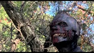Video preview · The Video Dead