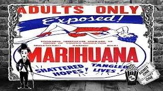 Video preview · Marihuana