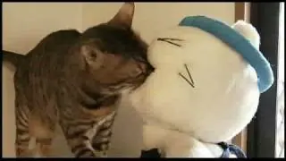 Video preview · Pussy Soup