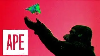 Aperçu vidéo · A*P*E