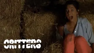 Vista previa del vídeo · Critters