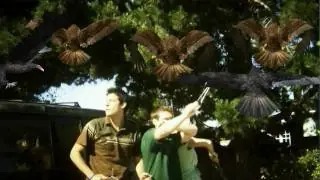 Video preview · Birdemic: Shock and Terror